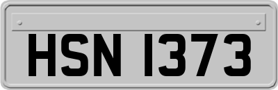 HSN1373