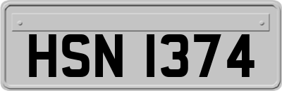 HSN1374
