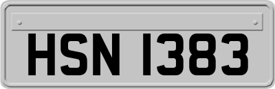 HSN1383