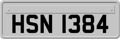 HSN1384