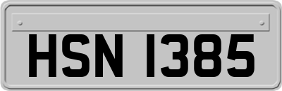 HSN1385