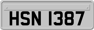 HSN1387