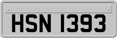 HSN1393