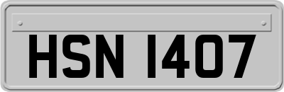 HSN1407