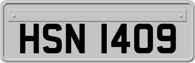 HSN1409