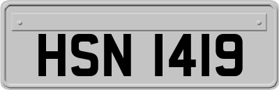 HSN1419