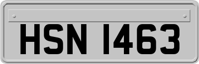 HSN1463