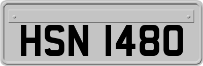 HSN1480
