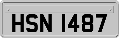 HSN1487