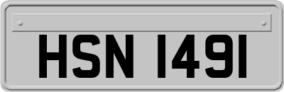 HSN1491