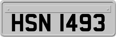 HSN1493