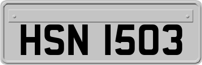 HSN1503