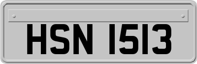 HSN1513