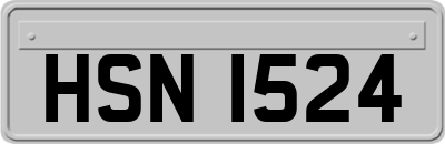 HSN1524