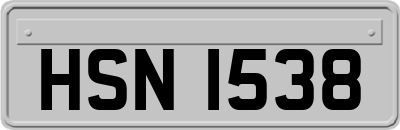 HSN1538