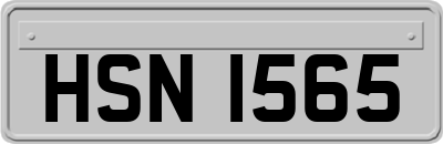 HSN1565