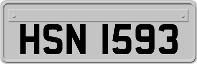 HSN1593