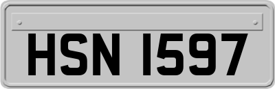 HSN1597