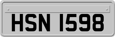 HSN1598