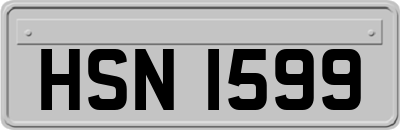 HSN1599