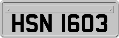 HSN1603