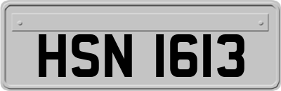HSN1613