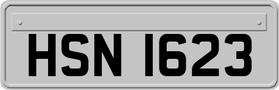 HSN1623