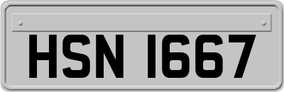 HSN1667
