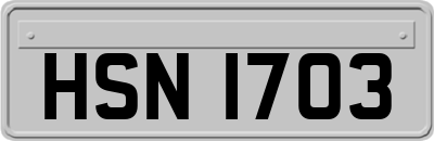 HSN1703