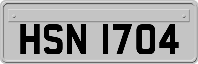 HSN1704