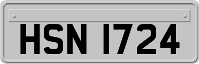 HSN1724