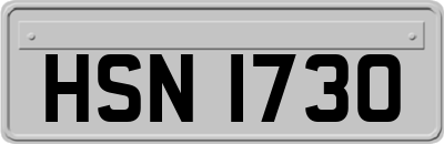 HSN1730