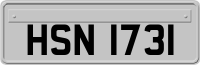 HSN1731