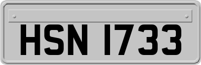 HSN1733
