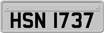 HSN1737