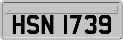HSN1739