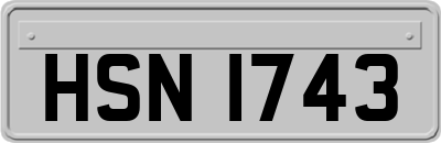 HSN1743