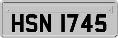 HSN1745