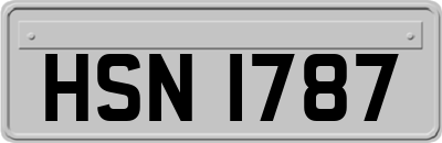 HSN1787