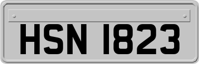 HSN1823