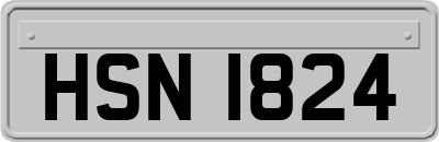 HSN1824