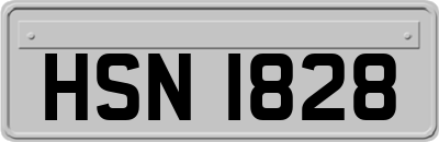 HSN1828