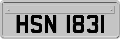 HSN1831