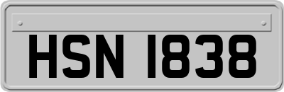 HSN1838