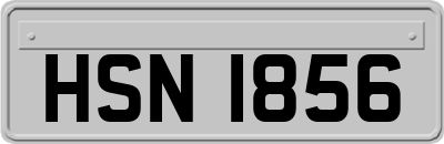 HSN1856