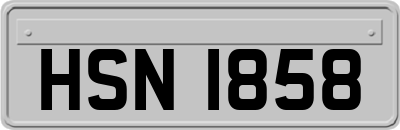 HSN1858