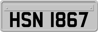 HSN1867