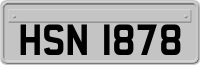 HSN1878