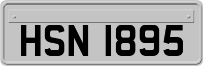 HSN1895