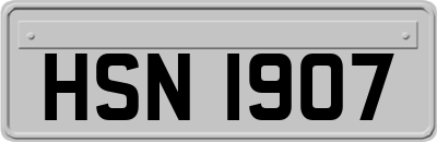 HSN1907